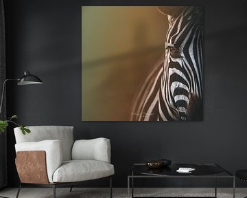 Regenboog Zebra van Melanie Delamare