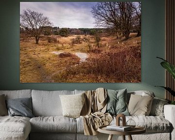 Brunssummerheide by Rob Boon