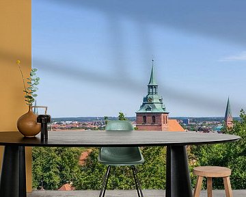 Stadsgezicht van Kalkberg met St. Micheliskerk, oude binnenstad, Lüneburg, Nedersaksen, Duitsland, E