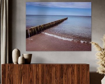 Buhne breakwater at the Baltic Sea by Animaflora PicsStock