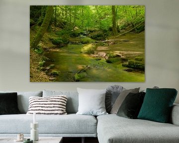 Karlstalschlucht (Karl valley chasm) near Trippstadt in the Palatinate Forest by André Post