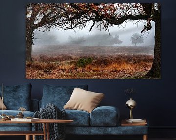 Nationaal Park De Hoge Veluwe