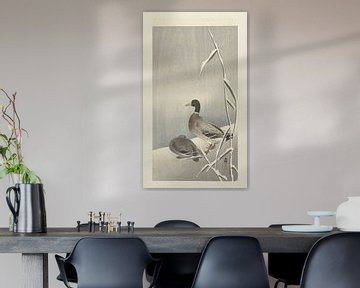 Deux canards sur un roseau enneigé, Ohara Koson
