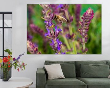 Honey bee at the lavender blossom by Hans-Jürgen Janda