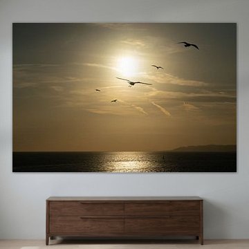 Zonsondergang met vogels