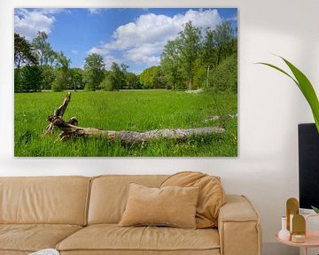 Panorama de la lande près de Heelsum