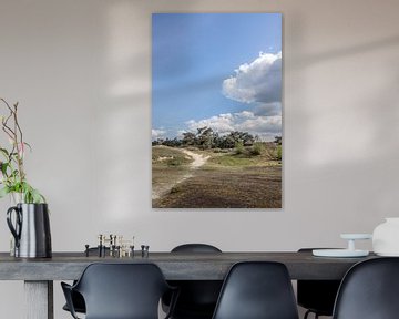 standing photo of the Veluwe with blue sky and cloud by Thomas Winters
