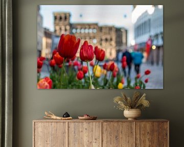 Tulpen an der Porta Nigra, Trier (Deutschland)