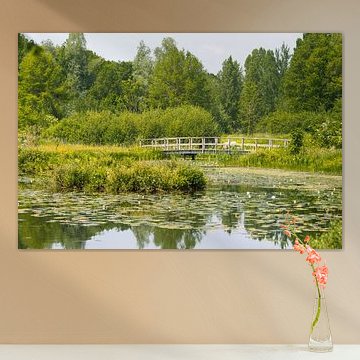 Water lilies and bridge in Arboretum Poort Bulten near De Lutte