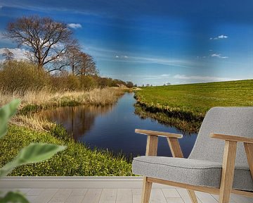 Frisian Landscape, Netherlands by Adelheid Smitt