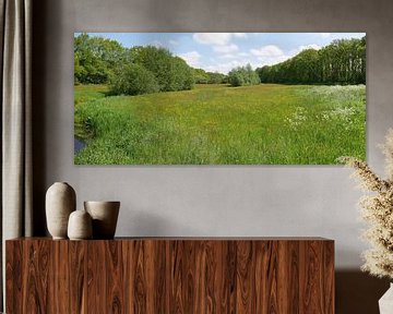 Hay meadows in the stream valley Het Oude Diep. by Wim vd Neut