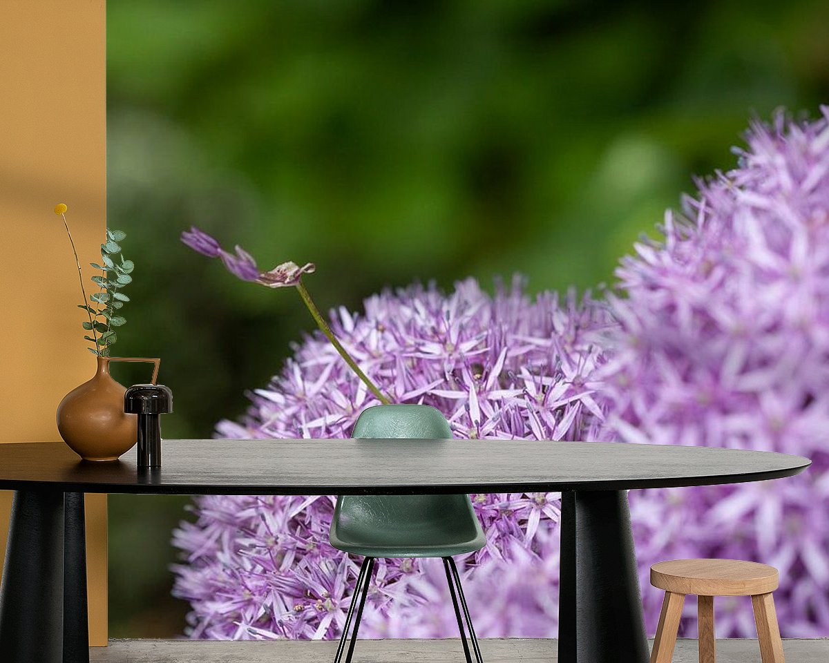 Raumvorschau