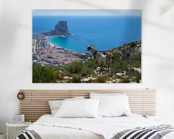 Mountain goat looks at Calpe and the Mediterranean Sea by Adriana Mueller