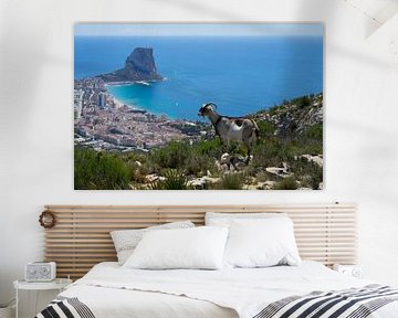La chèvre de montagne regarde Calpe et la mer Méditerranée