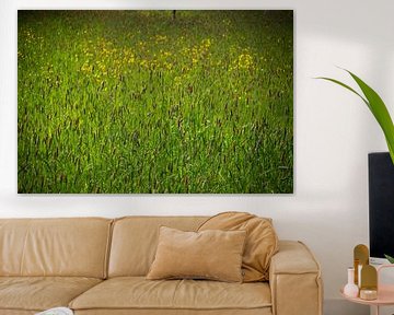 Een veld vol Graspluimen en Boterbloemen van FotoGraaG Hanneke