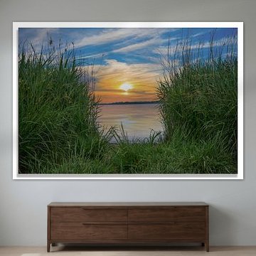 coucher de soleil à dord biesbosch