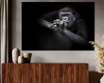 Grappige vrouwelijke gorilla knaagt ijverig op iets hards haar tanden ontbloot, haar ogen dichtknijp van Michael Semenov