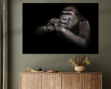 De aandachtige tanden ontbloten gorilla wijfje knaagt iets terwijl het houden van handen bij de snui van Michael Semenov