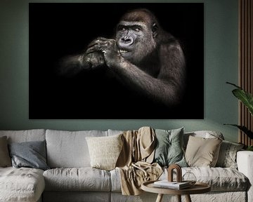 De aandachtige tanden ontbloten gorilla wijfje knaagt iets terwijl het houden van handen bij de snui van Michael Semenov