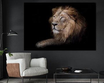 Trotse mannelijke leeuwenkoning zit in duisternis poot vooruit in profiel, zwarte achtergrond van Michael Semenov