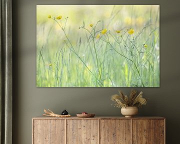 Buttercups by Connie de Graaf