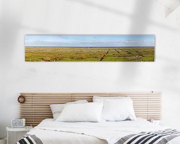 Salt marshes on Juist by Dirk Rüter