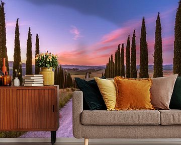 Zonsopgang op de Cypress Avenue