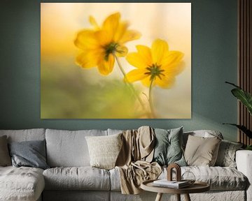 Dreams van RebbelZfotografie