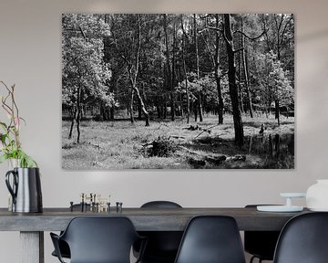 Een open plek in het bos in zwart-wit van Gerard de Zwaan