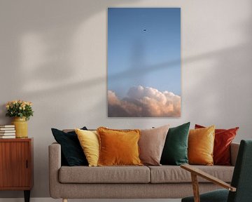 Bird and cloud by Joost de Groot