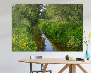 Doorkijkje in de Aalkeet-Buitenpolder (Landschap)