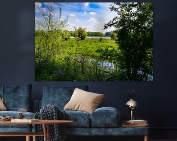 Vue d'un marais dans le Broekpolder près de Vlaardingen sur FotoGraaG Hanneke