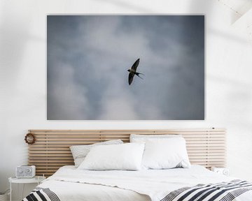 Een vliegende zwaluw van Kristian Oosterveen