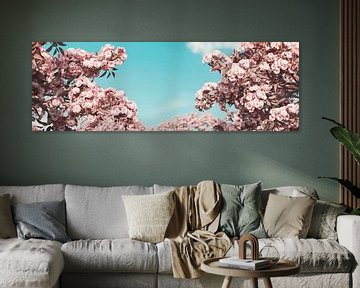 Japanese cherry blossoms against blue sky by Besa Art