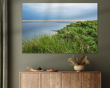 Strand mit Kartoffelrosen in Wittdün auf der Insel Amrum