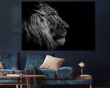 Lion head more contrast by Claire Groeneveld