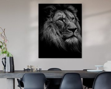 Beautiful lion's head by Claire Groeneveld