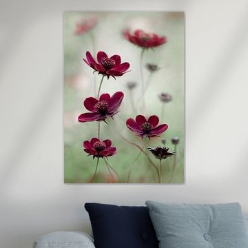 Balançoire Cosmos sur Mandy Disher