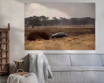 Voiture sur la Veluwe sur Capfield Photography