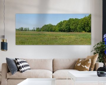 Hay meadows in the brook valley the Reest. by Wim vd Neut