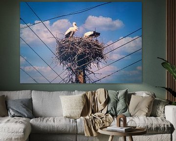 Ooievaars in hun nest hoog op een elektriciteitspaal van Jakob Baranowski - Photography - Video - Photoshop
