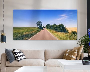 De weg naar nergens - weg tussen veld en weide in het midden van de regio Nier van Jakob Baranowski - Photography - Video - Photoshop