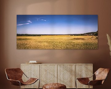 Horizon foto van een veld in de zomer in de felle zon van Jakob Baranowski - Photography - Video - Photoshop