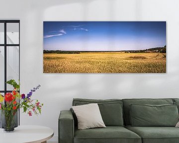 Horizon foto van een veld in de zomer in de felle zon van Jakob Baranowski - Photography - Video - Photoshop