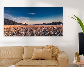 Panorama - Sommer an der Familien Farm - Getreidefelder am Bauernhof von Jakob Baranowski - Photography - Video - Photoshop