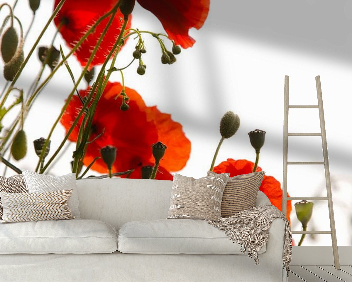 Raumvorschau