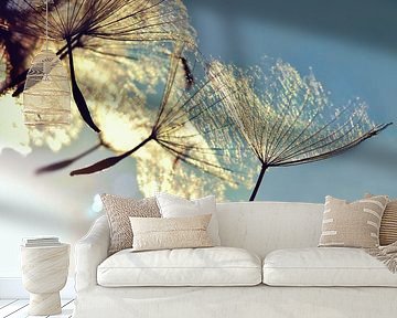 Dandelion   by Julia Delgado