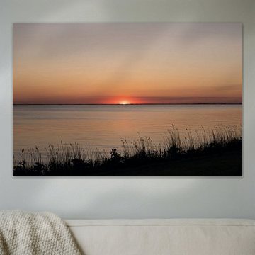 Setting sun with reed