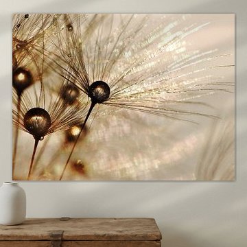 Paardenbloem gouden druppels van Julia Delgado