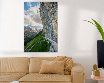 Blick vom Berggasthaus Äscher in die Appenzeller Alpen von Leo Schindzielorz